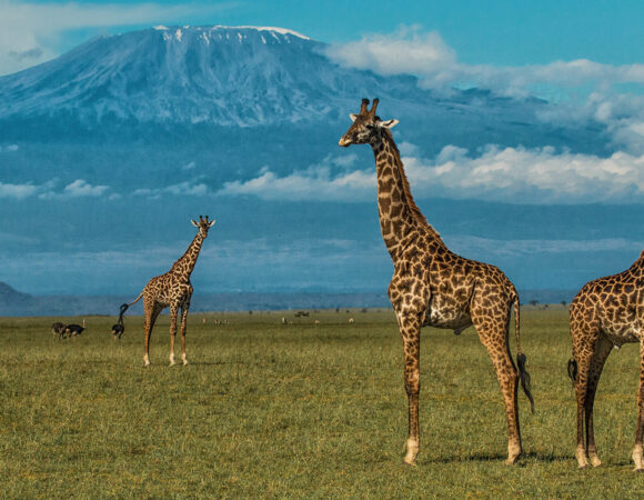 Amboseli National Park